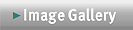 Image gallery