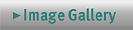 Image gallery