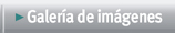 Galer�a de im�genes