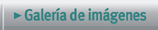 Galer�a de im�genes