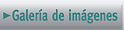 Galer�a